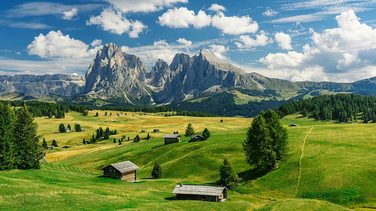 Il giro panoramico del Monte Bullaccia — Alto Adige · Alpe di Siusi