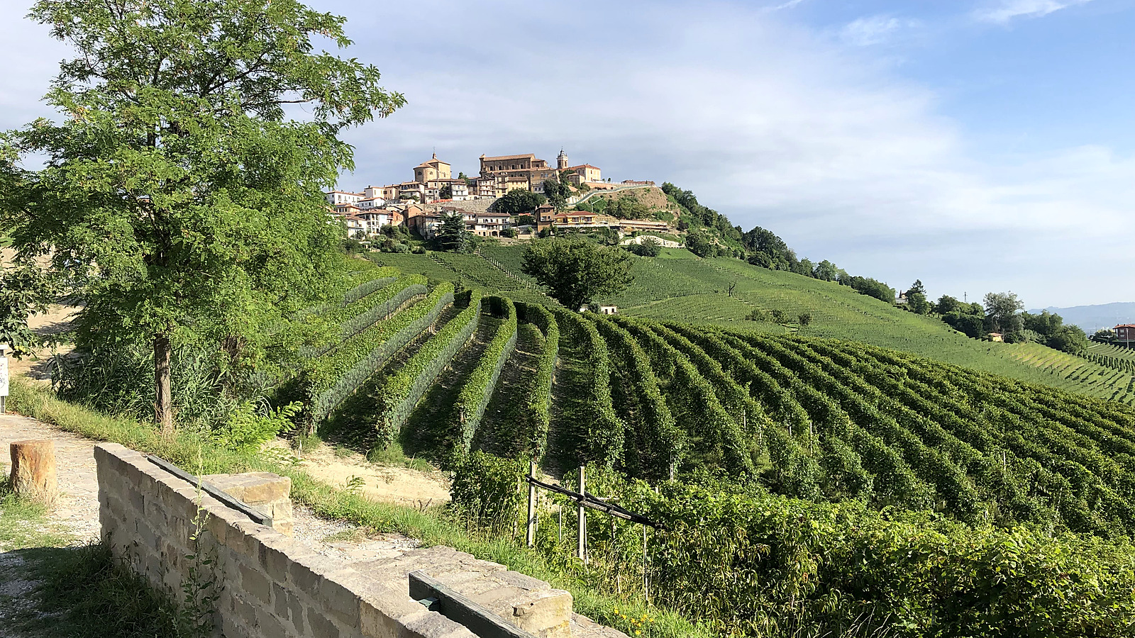 Le Langhe, tra Barbaresco e Barolo