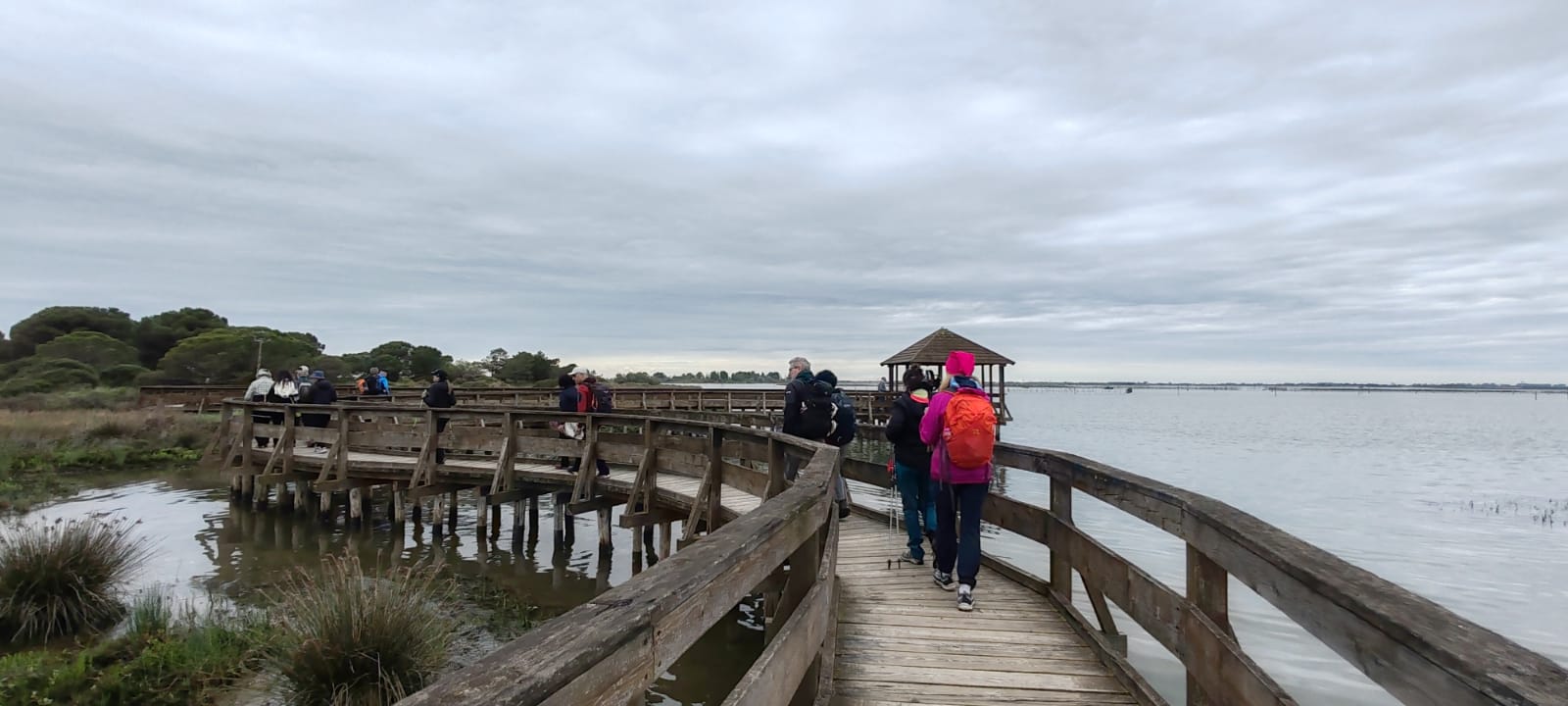 Giardino Botanico Porto Caleri nel Parco del Delta del Po — Delta del Po